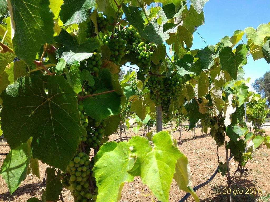 Masseria Vignenove Uggiano La Chiesa Luaran gambar